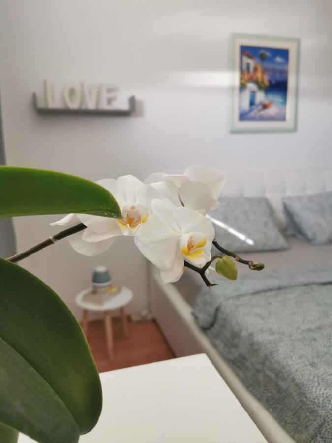 Kenzo Apartment Senj  Eksteriør bilde