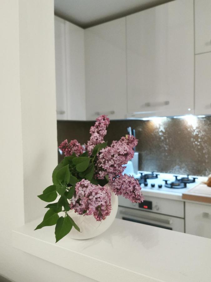 Kenzo Apartment Senj  Eksteriør bilde