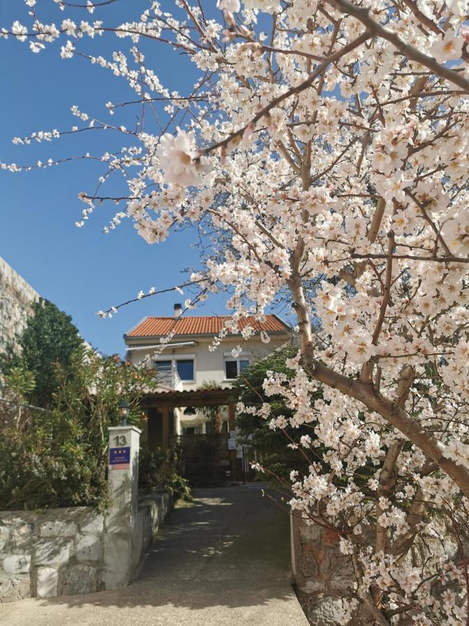 Kenzo Apartment Senj  Eksteriør bilde